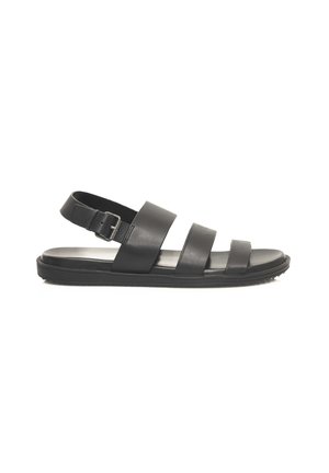 Schwarze Ledersandale mit drei breiten Riemen, einem hinteren Riemen mit Schnalle und einer flachen Gummisohle. Glatte Oberfläche mit minimalem Design.
