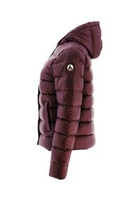 JOTT JANE - Chaqueta de plumas - rose
