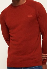 Maglione rosso lavorato a maglia con colletto rotondo e maniche raglan. Presenta un logo discreto sul petto e polsini e orlo a coste.
