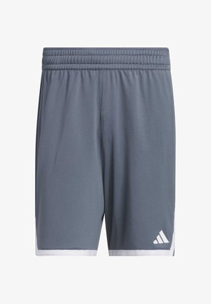 Grijze sportshorts van mesh-stof, gekenmerkt door een witte rand en een klein wit logo aan de onderlinkerzijde. Lichtgewicht en ademend ontwerp.