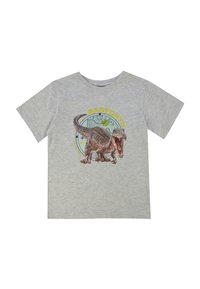 Graues Baumwoll-T-Shirt mit einem gedruckten Baryonyx-Dinosaurier-Design vor einem bunten kreisförmigen Hintergrund und Schriftzug in Gelb und Türkis.