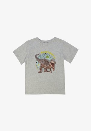 Grijze katoenen t-shirt met een afgedrukte Baryonyx dinosaurusontwerp, voorzien van een kleurrijke ronde achtergrond en letters in geel en turquoise.
