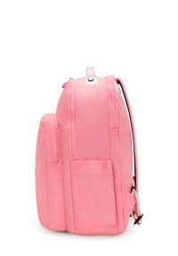 Růžový batoh vyrobený z odolné tkaniny, vybavený zipy, několika přihrádkami a nastavitelnými popruhy. Boční kapsy pro dodatečné ukládání.