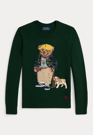 Dark green sweater with knitted bear wearing casual clothes and yellow cap, holding a leash with a small dog by its side.