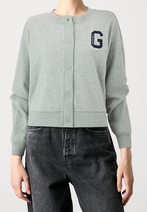 Lysegrå sweatshirt med knapper og "G 1969"-mærke på venstre bryst, båret med sorte højtaljede jeans, hænder afslappet ned langs siderne.