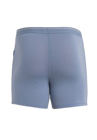 icebreaker ANATOMICA - Underkläder - LIGHT BLUE