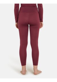icebreaker 260 TECH HIGH RISE  - Tights - port
