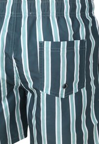Gestreepte zwembroek in donker teal met verticale witte en licht teal strepen. Beschikt over een achterzak met zwarte hardwaredetails.