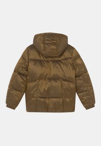 Tommy Hilfiger Vinterjakker - brown
