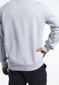 Szara bluza z okrągłym dekoltem, ściągaczami na mankietach i dole, miękką fakturą oraz luźnym krojem, pokazana od tyłu z czarnymi spodniami.