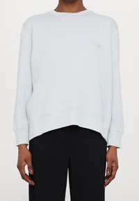 Ljusblå sweatshirt med ribbad nederkant och ärmslut. Har en avslappnad passform och en liten grafisk detalj på bröstet. Slät textur och avslappnad design.