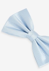Next TEXTURED WEDDING  - Motýlik - light blue