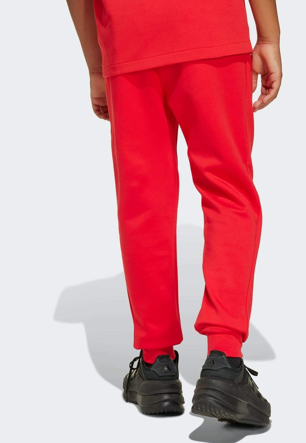 JUNIOR - Tracksuit bottoms3