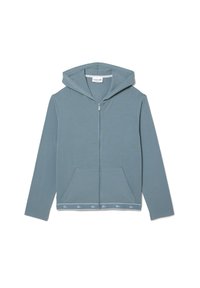 Zip-up sweatshirt - gris