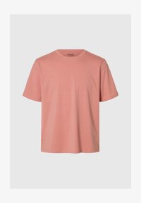 Nevybráno, rose dawn