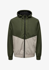 Valitud, olive night