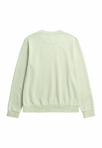 Felpa verde chiaro con maniche lunghe, colletto rotondo, polsini e vita a coste; tessuto morbido e colore uniforme.