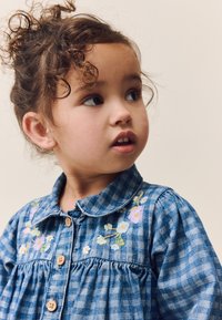 Mėlyna languota suknelė su apykakle, puošta gėlių siuvinejimu ir mediniais mygtukais. Minkšta tekstūra ir surinkta liemens dalies detalė.