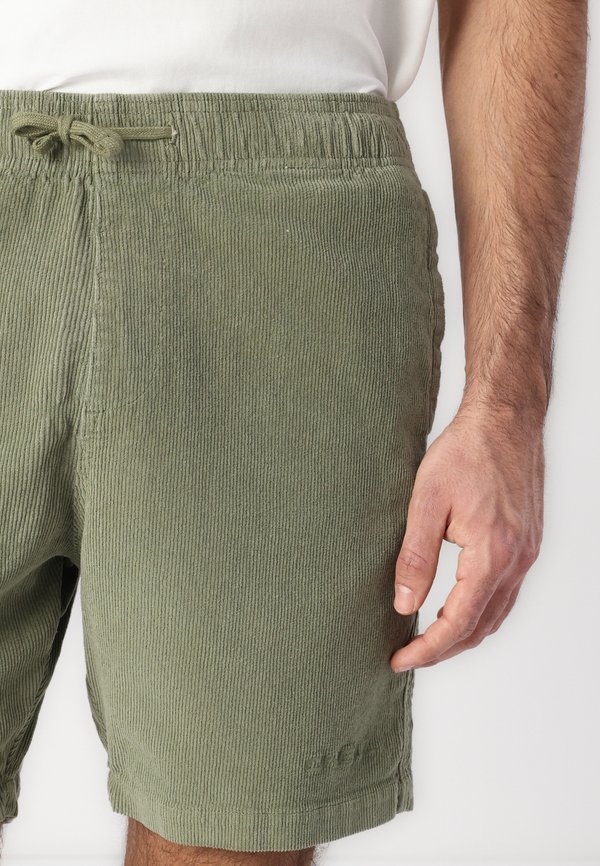 Shorts - avery fern2