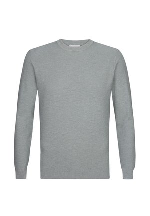 Suéter de manga larga gris claro con escote redondo, patrón de tejido texturizado y puños y dobladillo acanalados. Diseño simple y sin adornos.