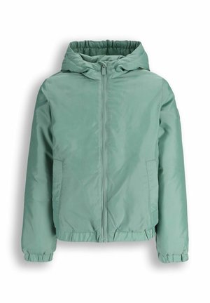 Jasnozielona kurtka z kapturem, z przednim zamkiem błyskawicznym, dwoma bocznymi kieszeniami oraz elastycznymi mankietami i dołem, prezentowana na białym tle.