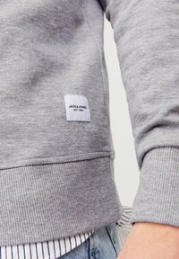 Jack & Jones Sudadera - light grey