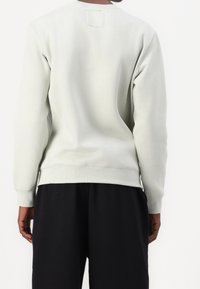 Ljusgrå sweatshirt med rund halsringning, ribbad mudd och nederkant. Har en liten rectangulär etikett på baksidan. Mjuk, slät textur.