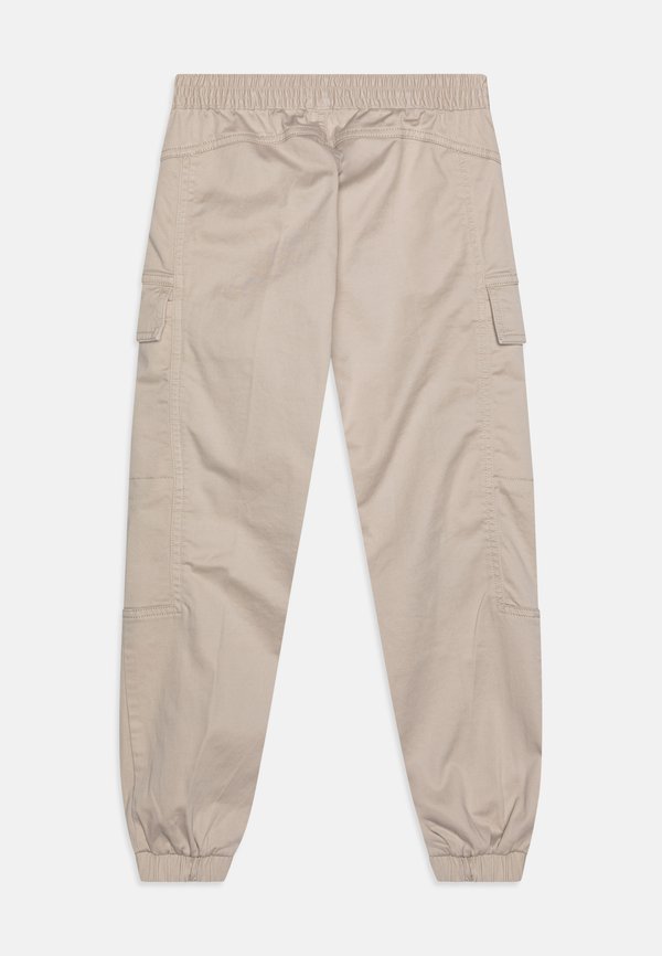 ESSENTIAL UNISEX - Cargo trousers - chateau gray2