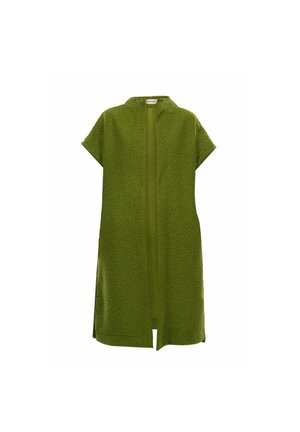 SURI FREY FREYDAY - Kardigan - green