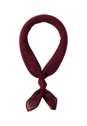 Sciarpa - fig