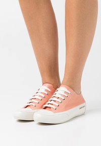 Candice Cooper ROCK - Sneakers basse - panna/orange