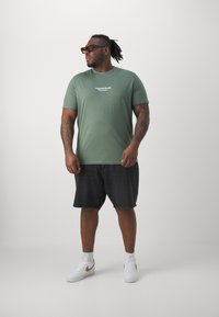 Jack & Jones JORVESTERBRO TEE CREW NECK - Marškinėliai su spaudiniu - laurel wreath