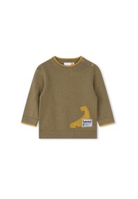 Zielony sweter dziewiarski z długimi rękawami, okrągłym dekoltem i żółtymi akcentami. Posiada motyw dinozaura oraz naszywkę z logo Timberland.