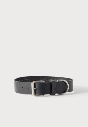 Collar de perro de cuero negro con hebilla metálica plateada y anilla en D, con pequeños agujeros decorativos a lo largo de su longitud.