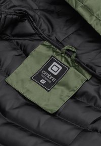 Ombre Giacca da mezza stagione - green