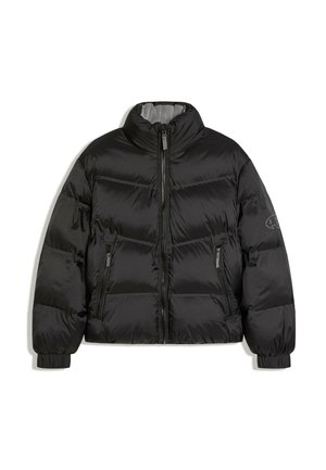 Bershka, QUILTED TECHNICAL - JACKET - Vinterjakker - black