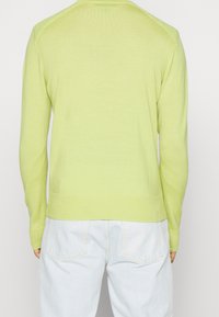 Pull vert clair à manches longues, avec des bords ribés et une finition lisse, mettant en valeur un détail distinctif au niveau des épaules.