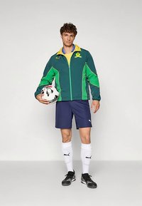 Grønn og gul jakke med glidelås, marineblå shorts, hvite sokker, svarte fotballsko. Holder en svart-hvitt fotball.