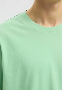 Lys grøn bomuld t-shirt med rund hals, glat tekstur og korte ærmer, med et enkelt design uden mønstre eller accenter.