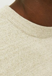 Jasno beżowy sweter z teksturowanym splotem, posiadający ryflowany dekolt. Materiał ma delikatny melanżowy wzór.