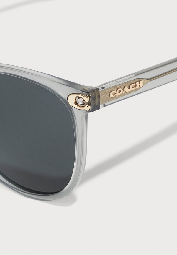 Sunglasses - transparent dove4