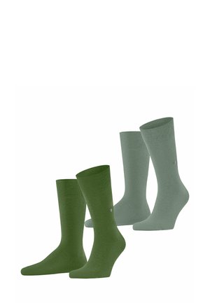 EVERYDAY 2-PACK - Sokken - fir green