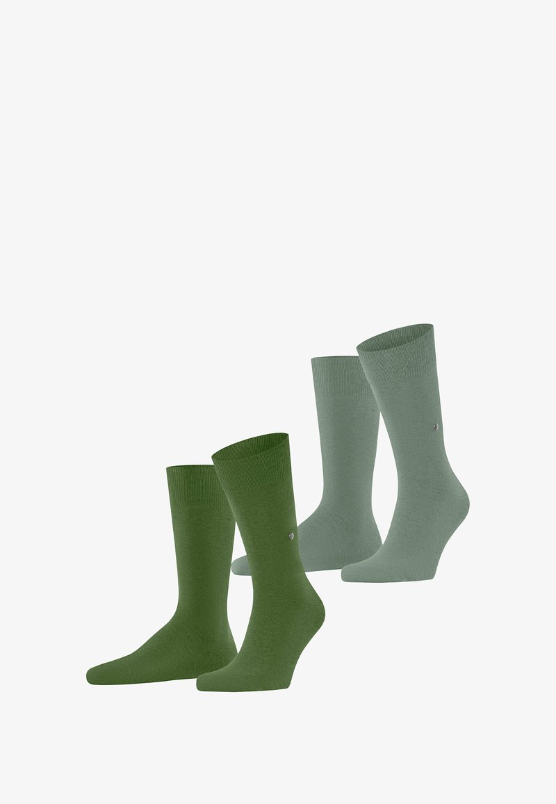 Vier Paar Socken in zwei Grüntönen, aufrecht aufgestellt, mit gerippten Bündchen und kleinen Logos an den Seiten.