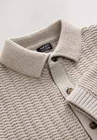 Light grey knit polo with a textured pattern, featuring a collared neck and two dark buttons. Label reads "NEXT." Soft, woven material.