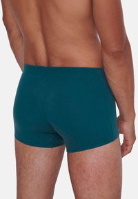Tealfärgade bomullskalsonger med en figurnära design. Har en slät midjeband och minimal sömnadsdetalj.