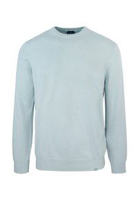 Maglione azzurro chiaro realizzato in morbido tessuto, con scollatura rotonda, maniche lunghe, polsini a coste e un piccolo logo in evidenza sull'orlo.