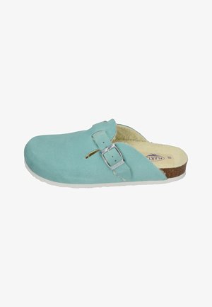 Turquoise suede clogs with a buckle strap, open back, and a cream padded insole. The outsole is white with a textured bottom.