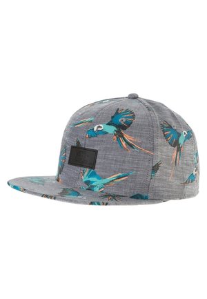 Grijze pet met een platte klep en een print van blauwe en oranje papegaaien, met een zwart Vans-logo op de voorkant.