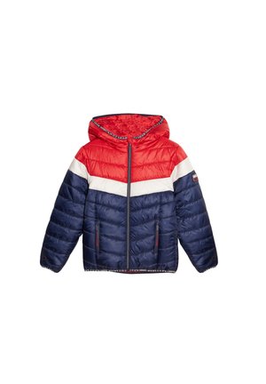 AMERICAN INSPIRATION - Winterjacke - bleu marine
