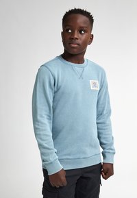 Felpa azzurra chiara con maniche lunghe, polsini a coste e colletto rotondo. Presenta una toppa con un design grafico sul petto.